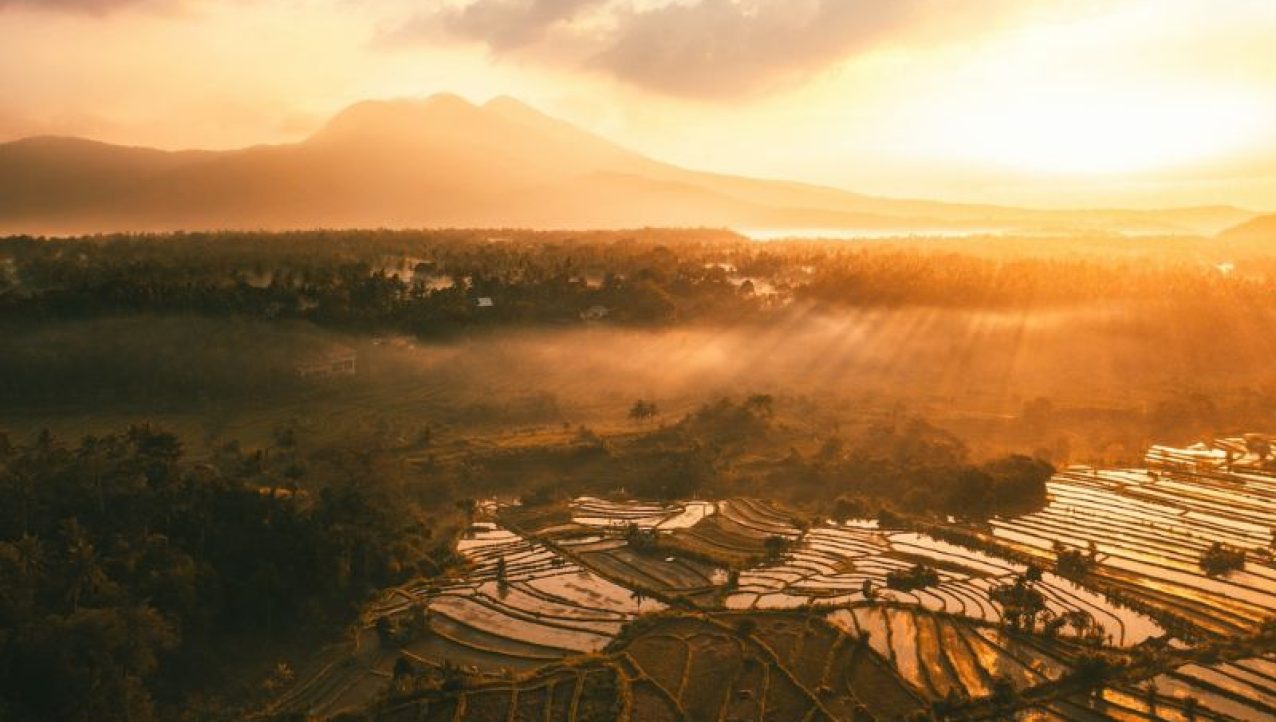 Bali Uncovered: A Journey Beyond the Beaches